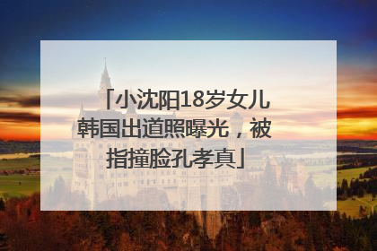 小沈阳18岁女儿韩国出道照曝光，被指撞脸孔孝真