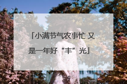 小满节气农事忙 又是一年好“丰”光