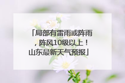 局部有雷雨或阵雨，阵风10级以上！山东最新天气预报