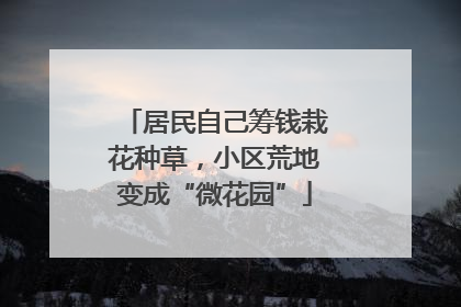 居民自己筹钱栽花种草，小区荒地变成“微花园”