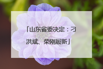山东省委决定：刁洪斌、荣刚履新