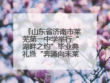 山东省济南市莱芜第一中学举行“湖畔之约”毕业典礼暨“奔涌向未莱”主题毕业晚会