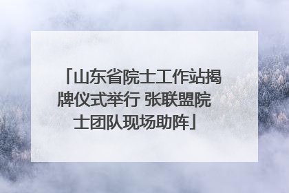 山东省院士工作站揭牌仪式举行 张联盟院士团队现场助阵