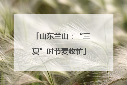 山东兰山：“三夏”时节麦收忙