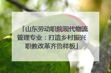 山东劳动职院现代物流管理专业：打造乡村振兴职教改革齐鲁样板