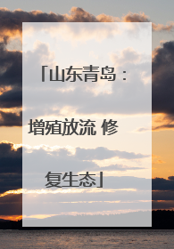 山东青岛：增殖放流 修复生态
