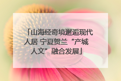 山海经奇境邂逅现代人居 宁夏贺兰“产城人文”融合发展