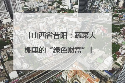 山西省昔阳：蔬菜大棚里的“绿色财富”