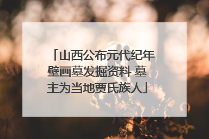 山西公布元代纪年壁画墓发掘资料 墓主为当地贾氏族人