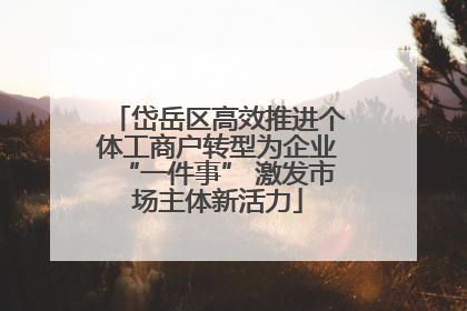 岱岳区高效推进个体工商户转型为企业“一件事” 激发市场主体新活力