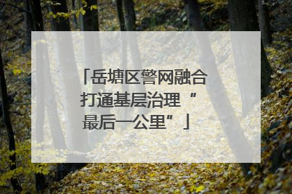 岳塘区警网融合 打通基层治理“最后一公里”