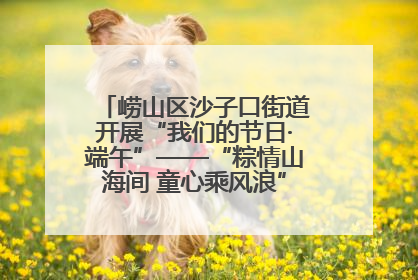 崂山区沙子口街道开展“我们的节日·端午”——“粽情山海间 童心乘风浪”文明实践活动