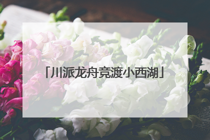 川派龙舟竞渡小西湖