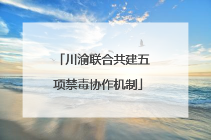 川渝联合共建五项禁毒协作机制