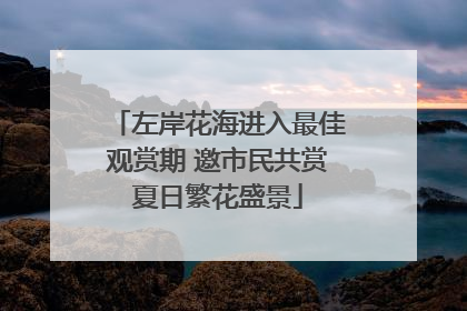 左岸花海进入最佳观赏期 邀市民共赏夏日繁花盛景