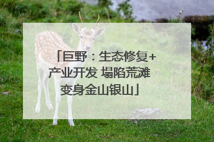 巨野：生态修复+产业开发 塌陷荒滩变身金山银山