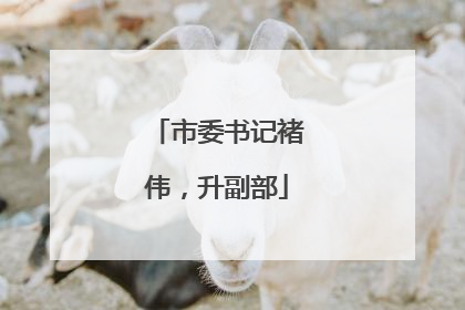 市委书记褚伟，升副部