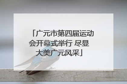 广元市第四届运动会开幕式举行 尽显大美广元风采