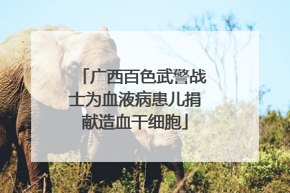 广西百色武警战士为血液病患儿捐献造血干细胞
