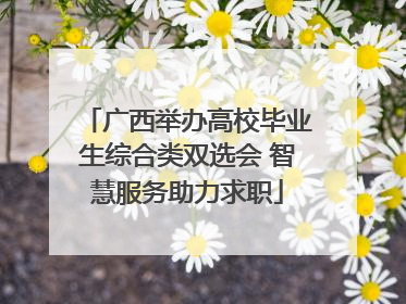 广西举办高校毕业生综合类双选会 智慧服务助力求职