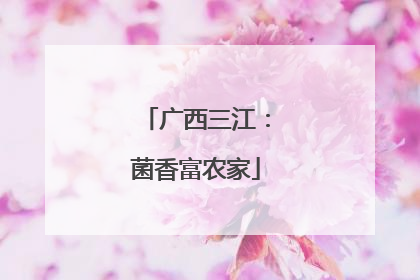 广西三江：菌香富农家