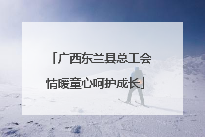 广西东兰县总工会情暖童心呵护成长