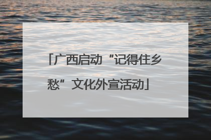 广西启动“记得住乡愁”文化外宣活动