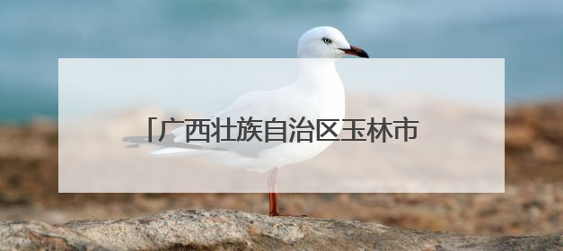 广西壮族自治区玉林市陆川县：3900多名本土干部回乡解纷促和
