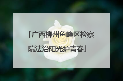 广西柳州鱼峰区检察院法治阳光护青春