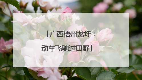 广西梧州龙圩：动车飞驰过田野