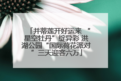并蒂莲开好运来 “星空牡丹”绽异彩 洪湖公园“国际荷花派对”三天迎客六万