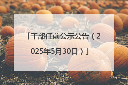 干部任前公示公告（2025年5月30日）