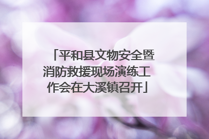 平和县文物安全暨消防救援现场演练工作会在大溪镇召开