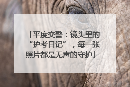 平度交警：镜头里的“护考日记”，每一张照片都是无声的守护