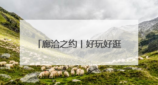廊洽之约丨好玩好逛好吃！2025年廊坊经洽会精彩纷呈