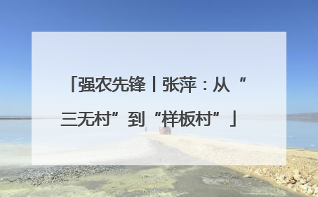 强农先锋丨张萍：从“三无村”到“样板村”