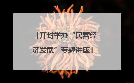 开封举办“民营经济发展”专题讲座