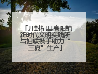 开封杞县高阳镇新时代文明实践所与妇联携手助力“三夏”生产