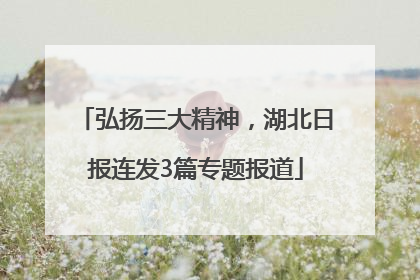 弘扬三大精神，湖北日报连发3篇专题报道