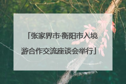 张家界市·衡阳市入境游合作交流座谈会举行