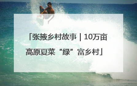 张掖乡村故事｜10万亩高原夏菜“绿”富乡村