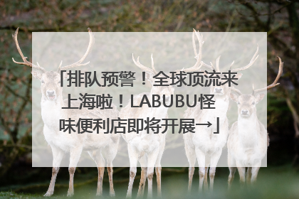 排队预警！全球顶流来上海啦！LABUBU怪味便利店即将开展→