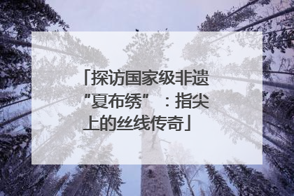 探访国家级非遗“夏布绣”：指尖上的丝线传奇