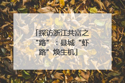 探访浙江共富之“路”：县城“虾路”焕生机