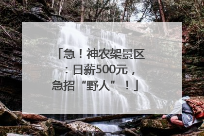 急！神农架景区：日薪500元，急招“野人”！