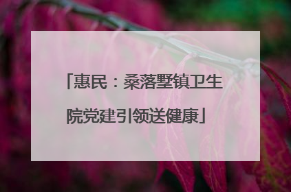 惠民：桑落墅镇卫生院党建引领送健康