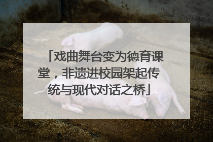 戏曲舞台变为德育课堂，非遗进校园架起传统与现代对话之桥