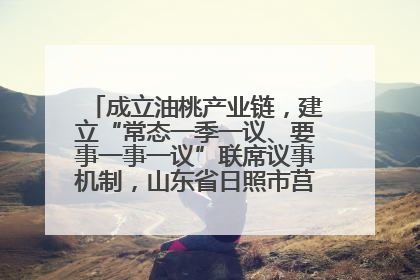 成立油桃产业链，建立“常态一季一议、要事一事一议”联席议事机制，山东省日照市莒县果庄镇——13个党小组“全周期”育果