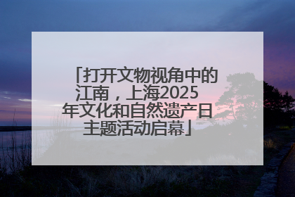 打开文物视角中的江南，上海2025年文化和自然遗产日主题活动启幕