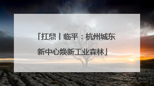 扛鼎丨临平：杭州城东新中心焕新工业森林